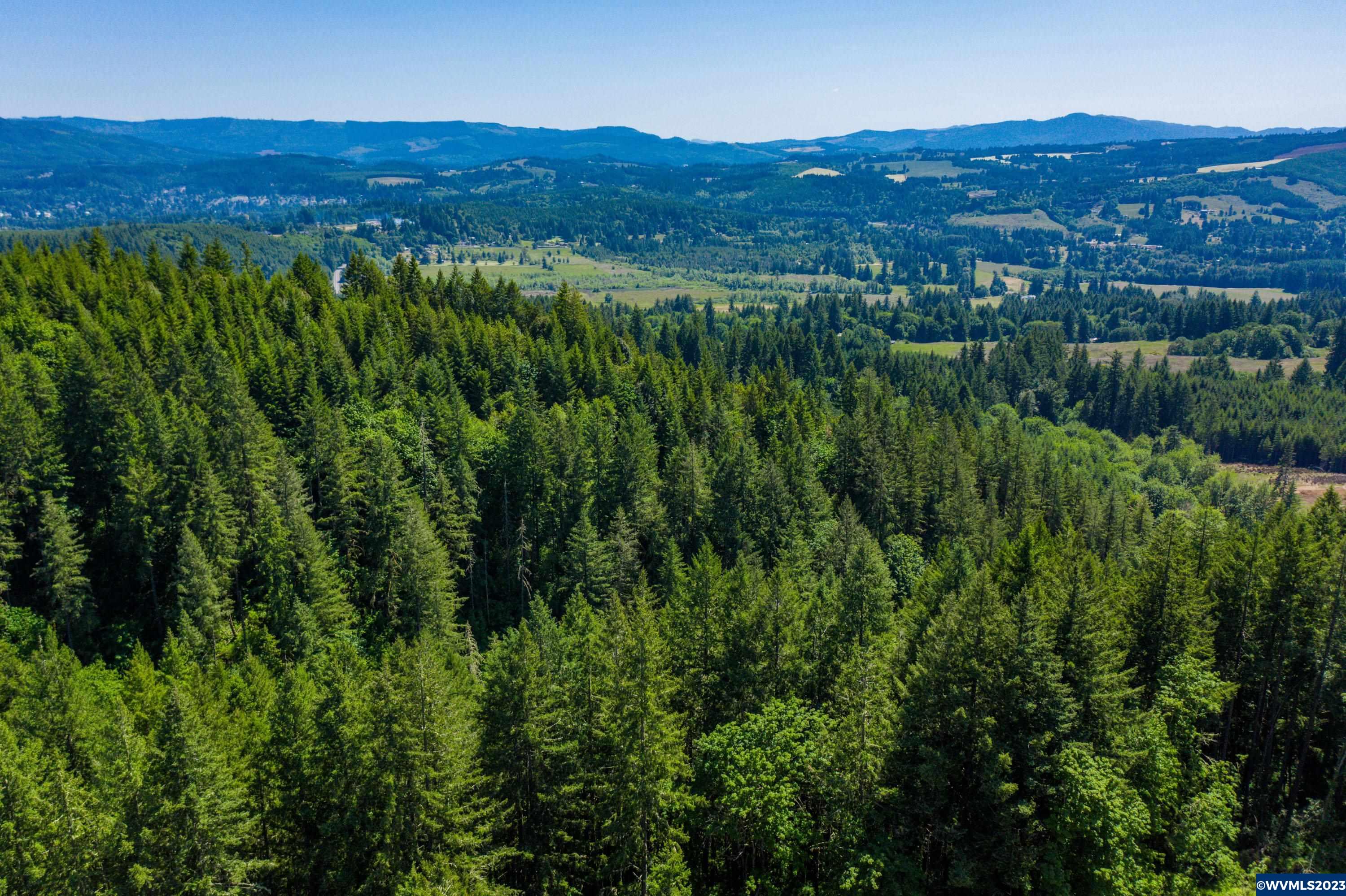 Marks Ridge Sweet Home, OR 97386 - Photo 13 of 32