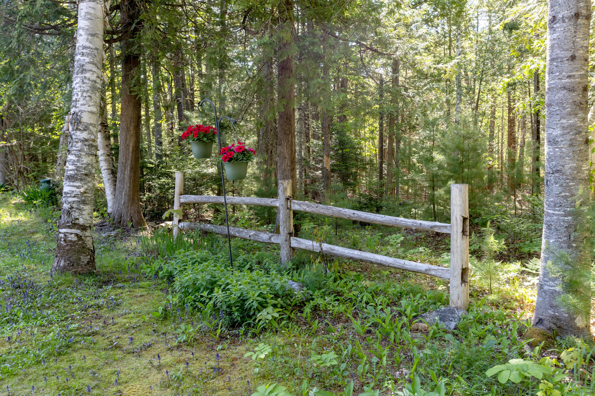 134 East Bucksport Road Orrington, ME 04474 - Photo 48 of 61 20260601-_MG_6169-HDR