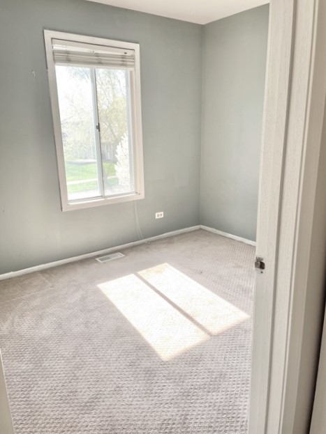 748 Hageman Place Naperville, IL 60563 - Photo 14 of 17