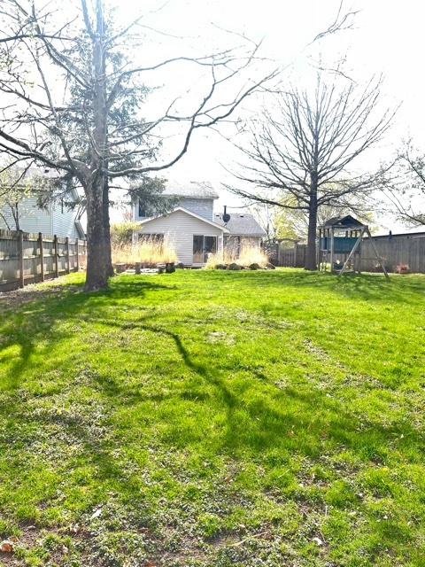 748 Hageman Place Naperville, IL 60563 - Photo 3 of 17