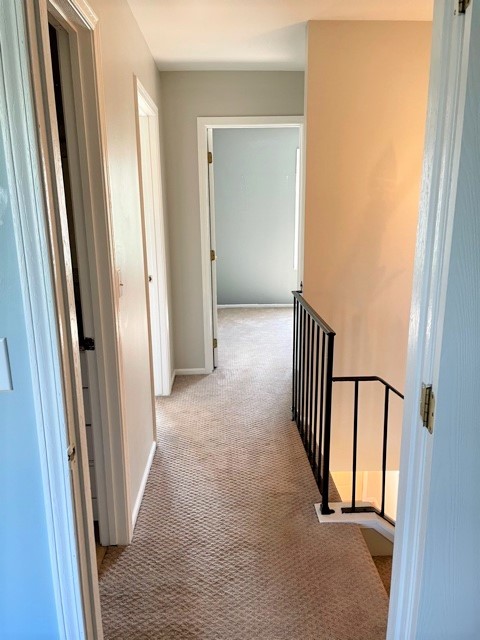 748 Hageman Place Naperville, IL 60563 - Photo 10 of 17