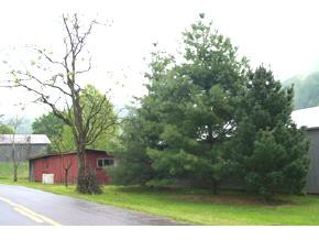 0 Rt 3 Gate City, VA 24251 - Photo 3 of 3 Photo 3