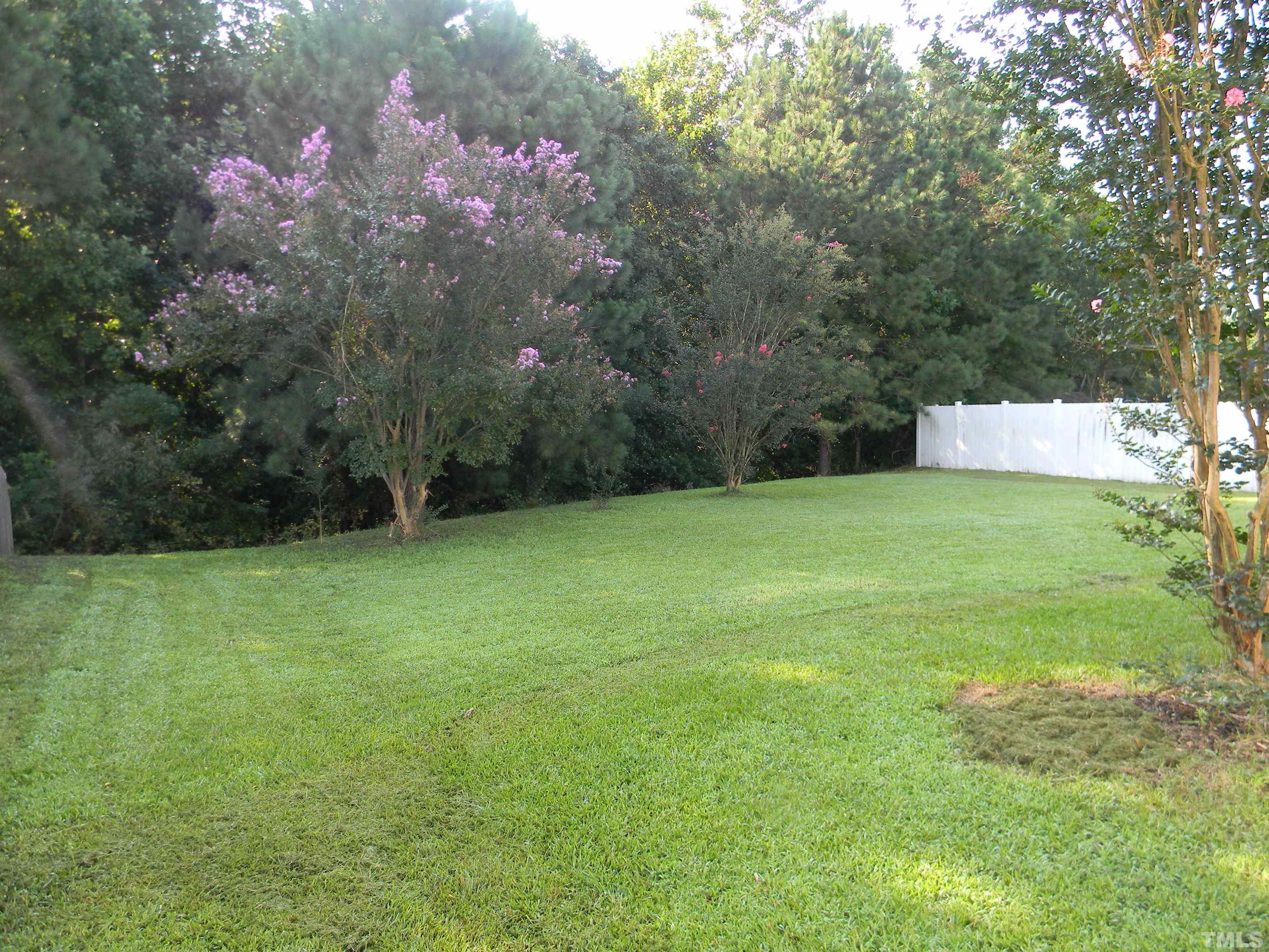 3673 Watkins Ridge Court Raleigh, NC 27616 - Photo 4 of 6