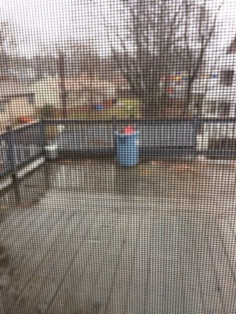 64 Ridlon Road Boston, MA 02126 - Photo 7 of 11