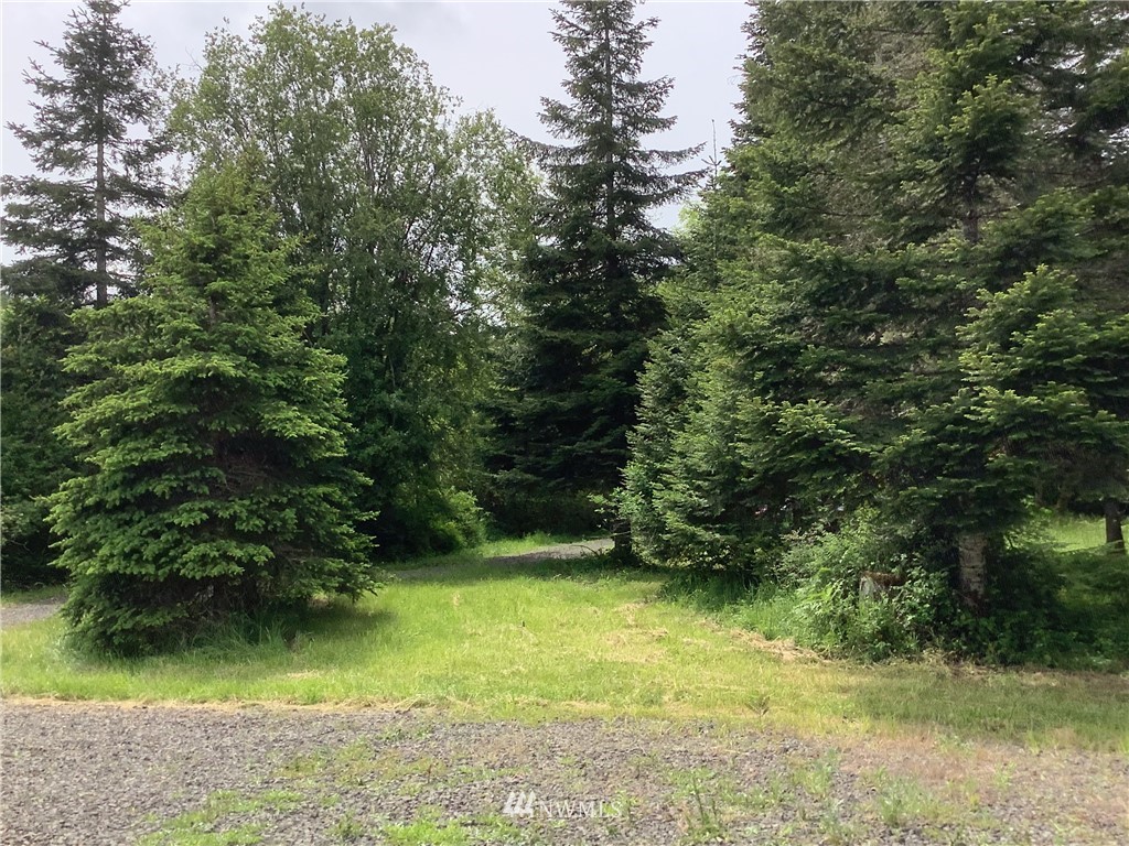 1692 Bunker Creek Road Chehalis, WA 98532 - Photo 2 of 35