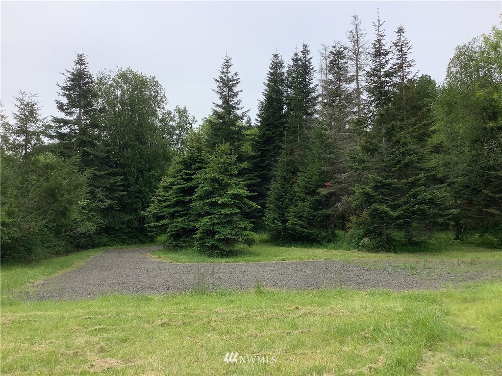 1692 Bunker Creek Road Chehalis, WA 98532 - Photo 20 of 35