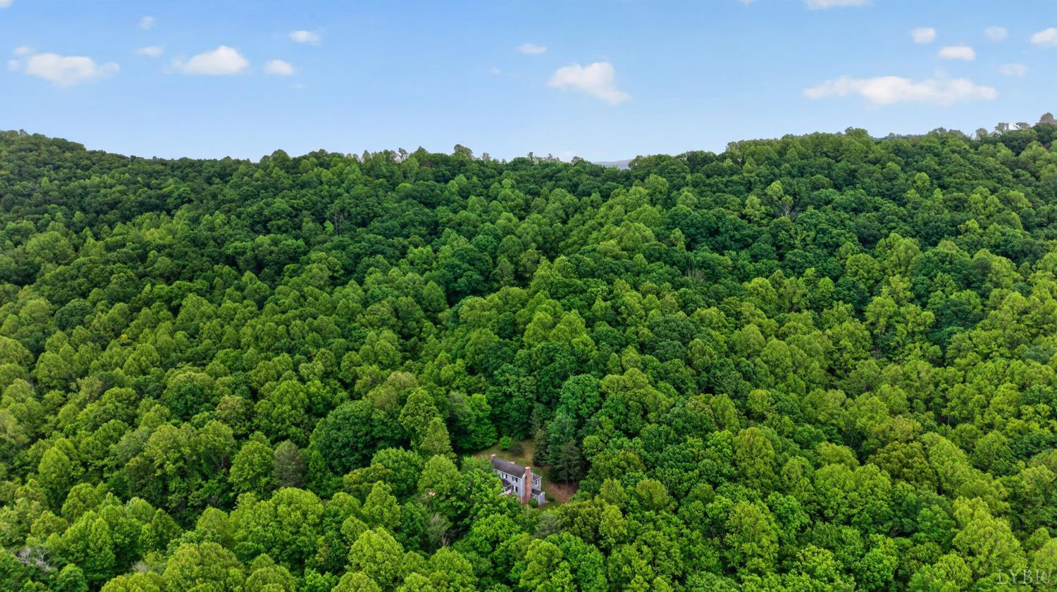 280 Hidden Acres Lane Amherst, VA 24521 - Photo 66 of 70