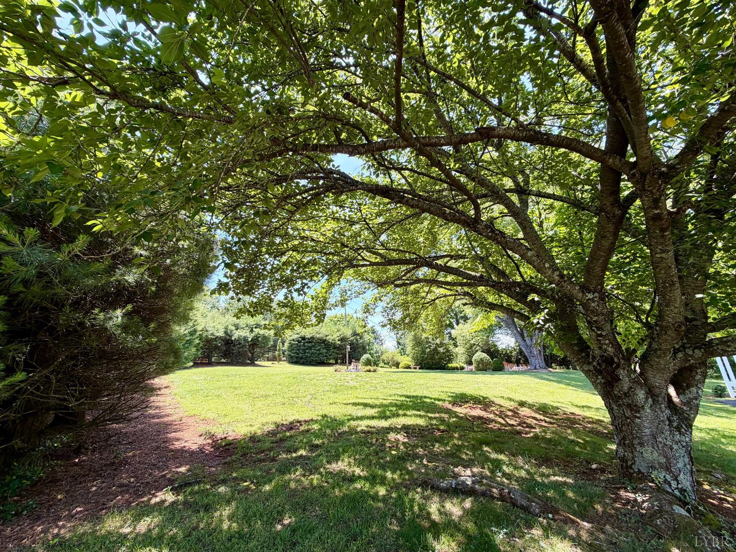 113 River Ridge Road Madison Heights, VA 24572 - Photo 37 of 55