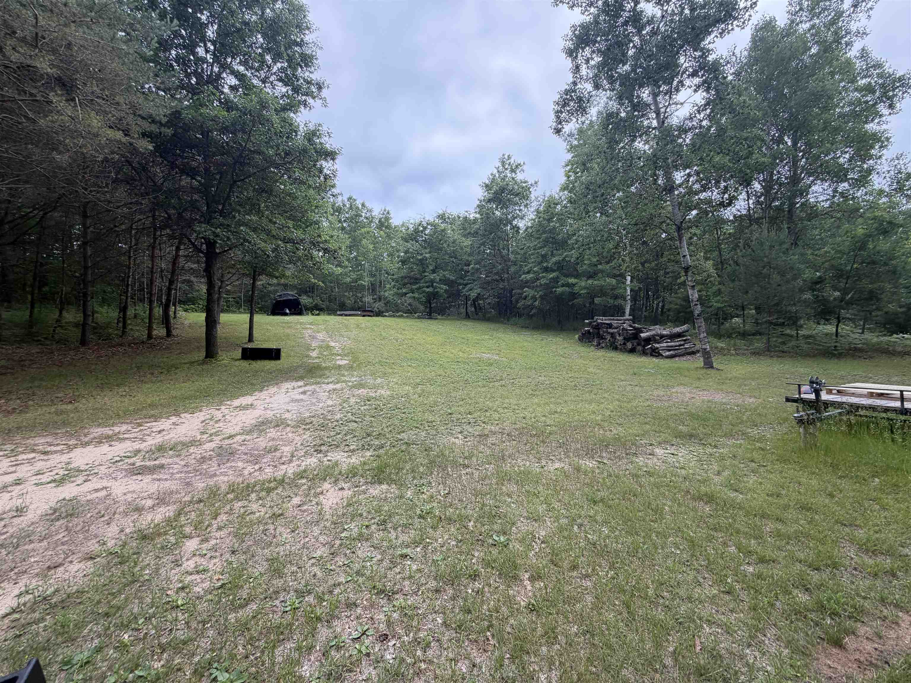 259 Hatchery Road Farwell, MI 48622 - Photo 41 of 43