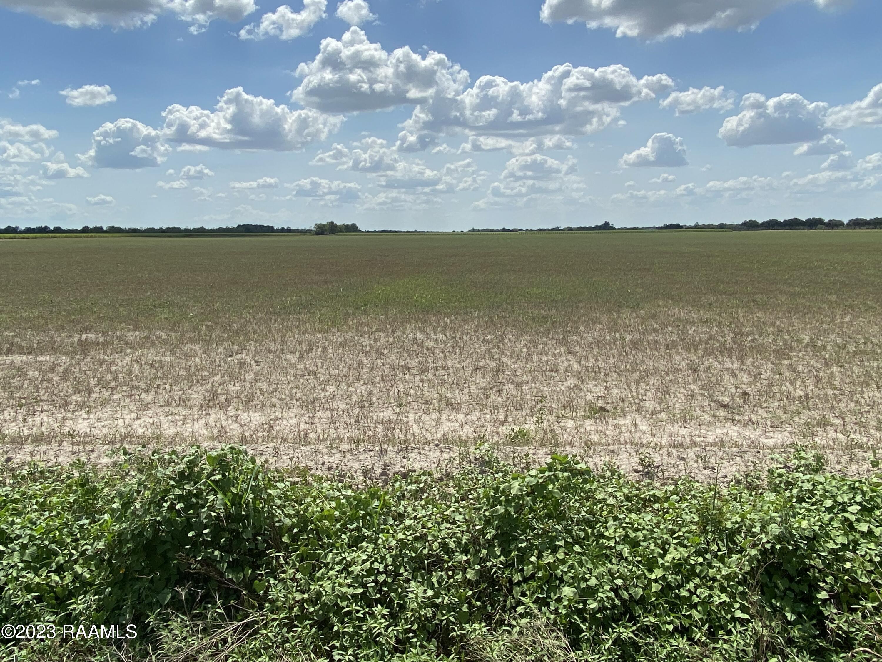 Tbd South Richfield Road, Unit LOT 4 Rayne, LA 70578 - Photo 2 of 3 Gallery Image 2