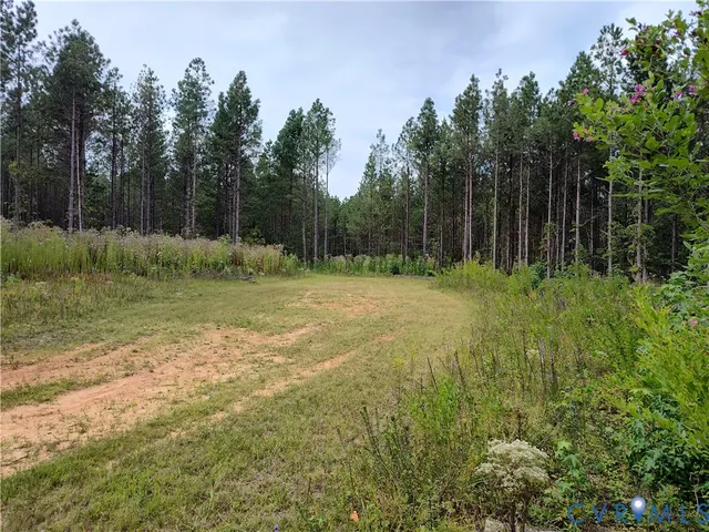 a view of backyard with green space