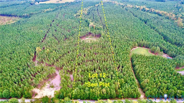 a view of a flower in a garden