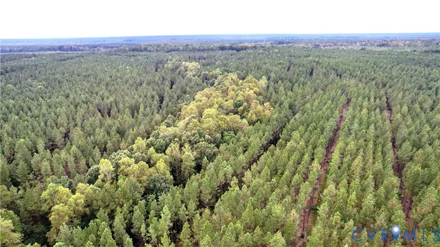 a view of a lush green field with lots of bushes