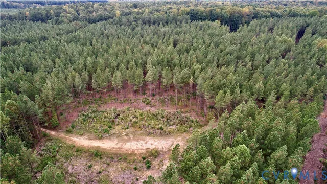 a view of a forest with a house
