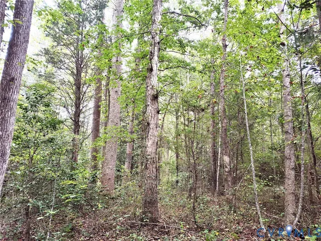 a view of a road with trees in the background