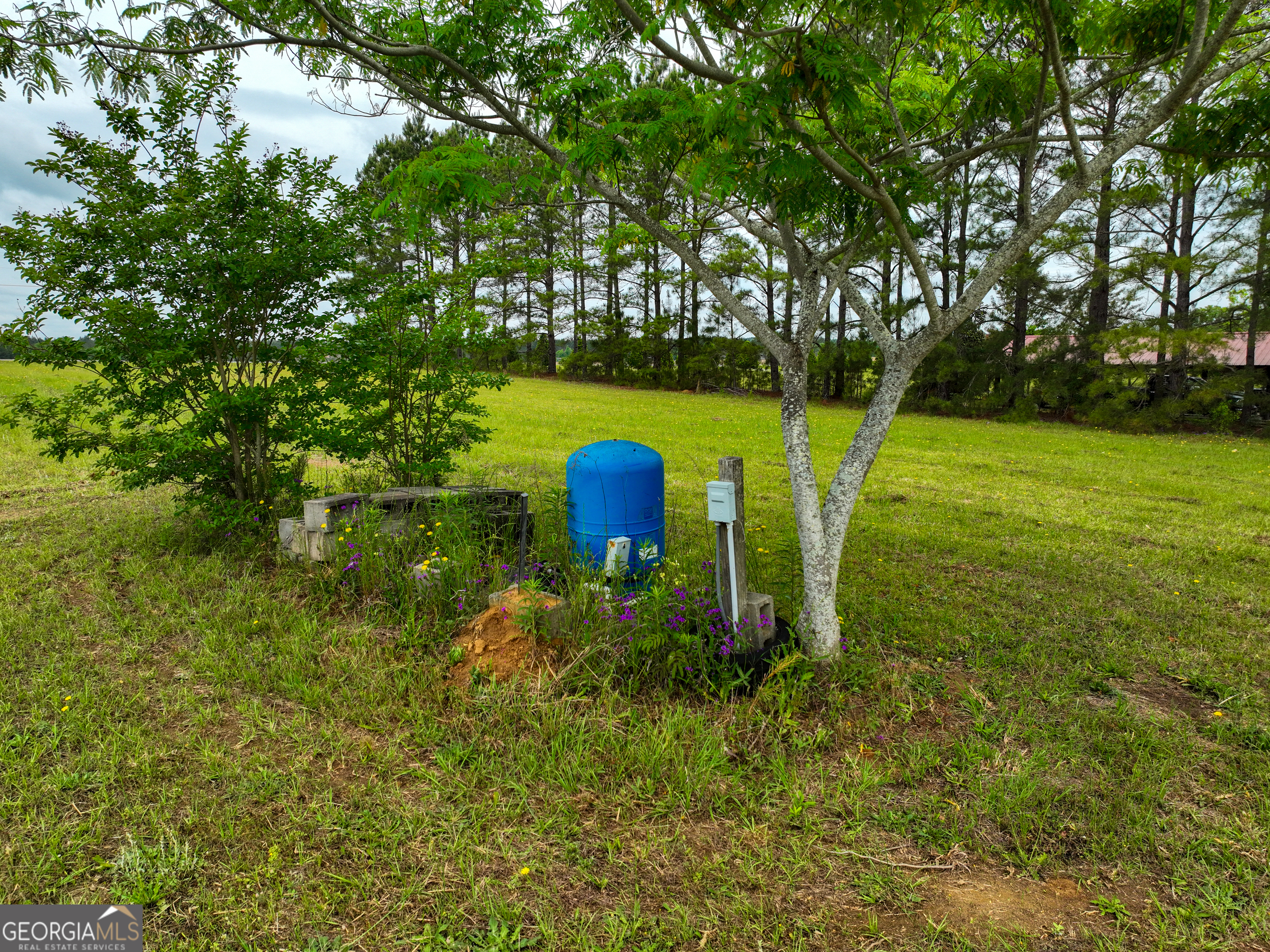 759 Pitts Road Hawkinsville, GA 31036 - Photo 10 of 15 Gallery Image 10