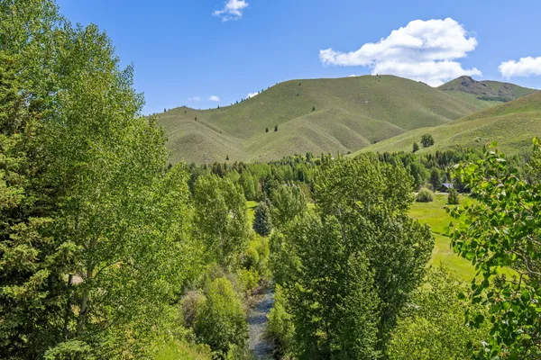 $2,995,000 | 569 Wildflower Condo Drive, Sun Valley, ID 83353