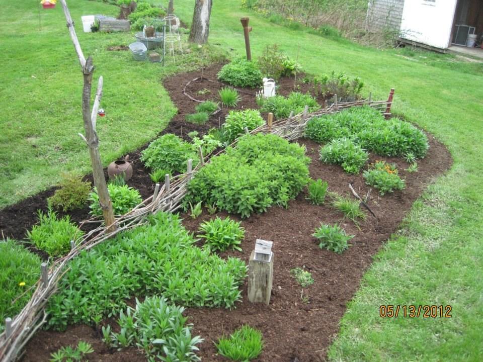 490 Common Road Union, ME 04862 - Photo 10 of 34 Spring gardens