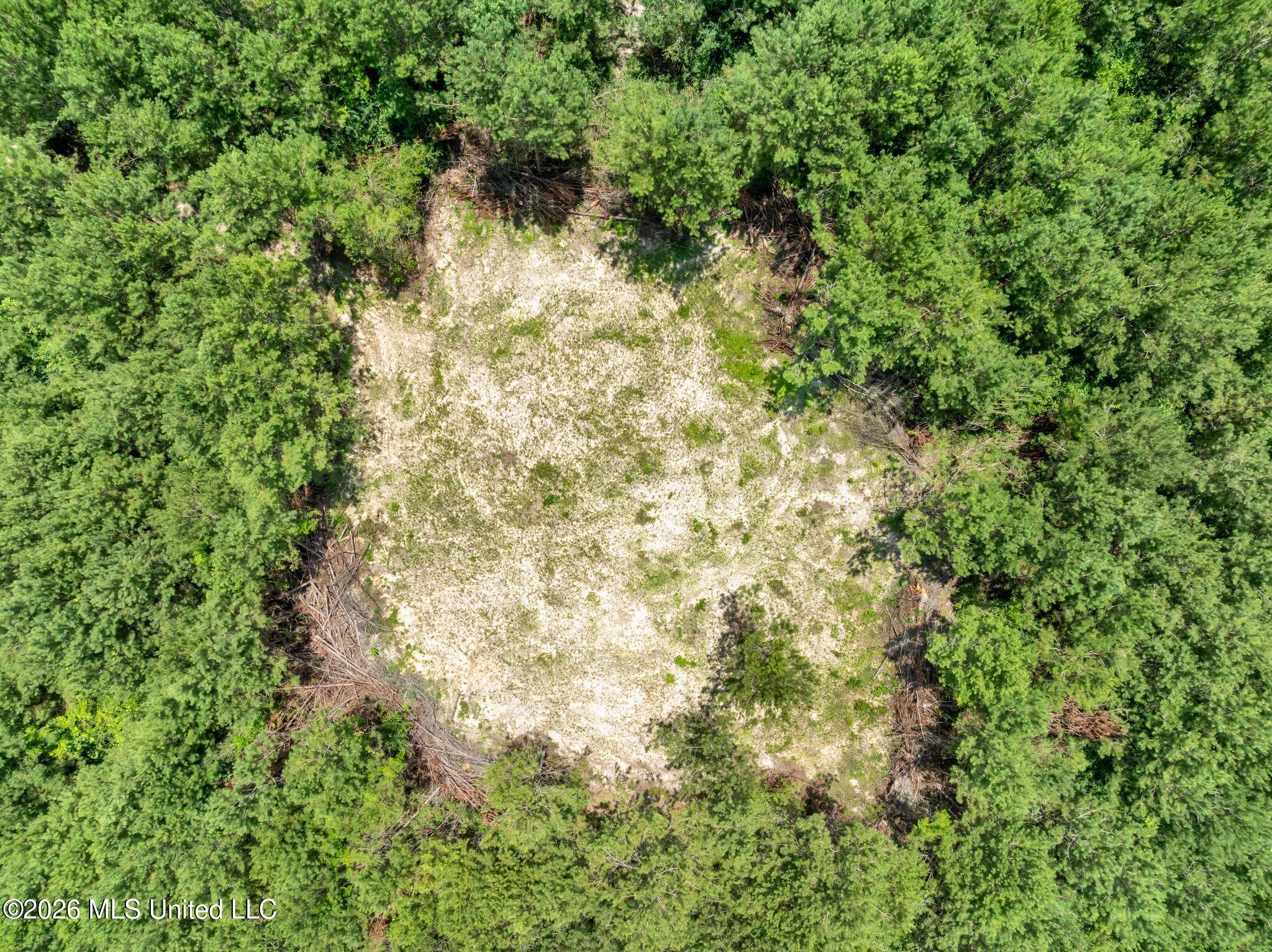 31-acres Ridgeland Road Bassfield, MS 39421 - Photo 12 of 27 85_Ridgeland_Rd-12