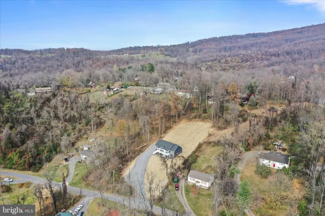 a view of backyard and trees