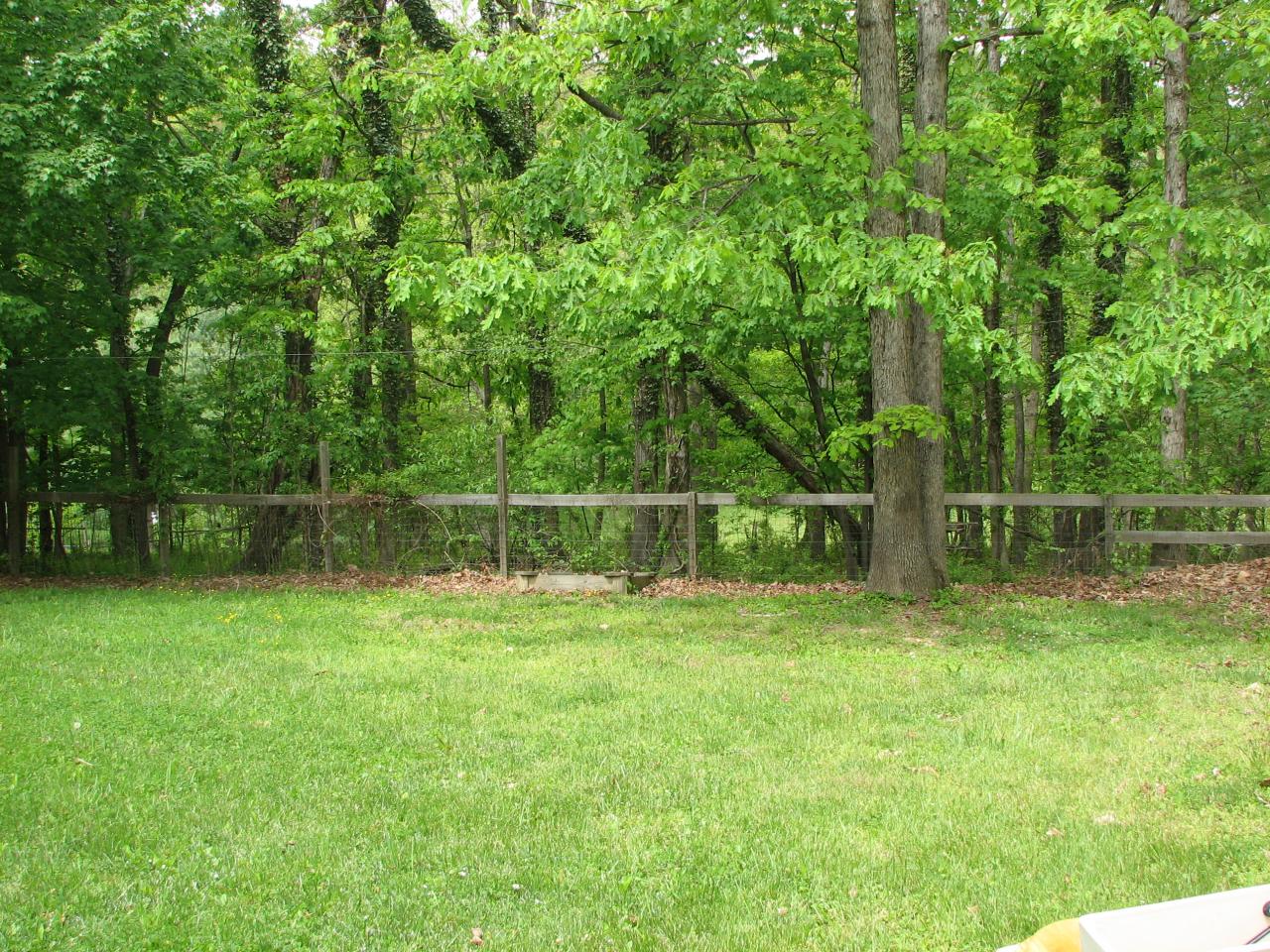 backyard