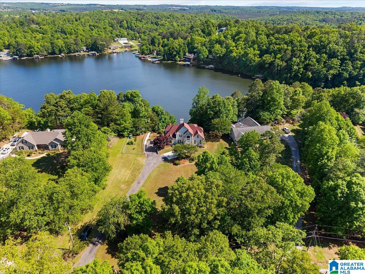 241 Lakeshore Loop Oneonta, AL 35121 - Photo 48 of 52
