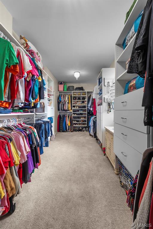 209 Knapp Avenue Chester, IL 62233 - Photo 25 of 59