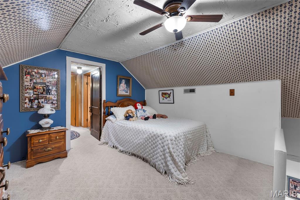 209 Knapp Avenue Chester, IL 62233 - Photo 35 of 59