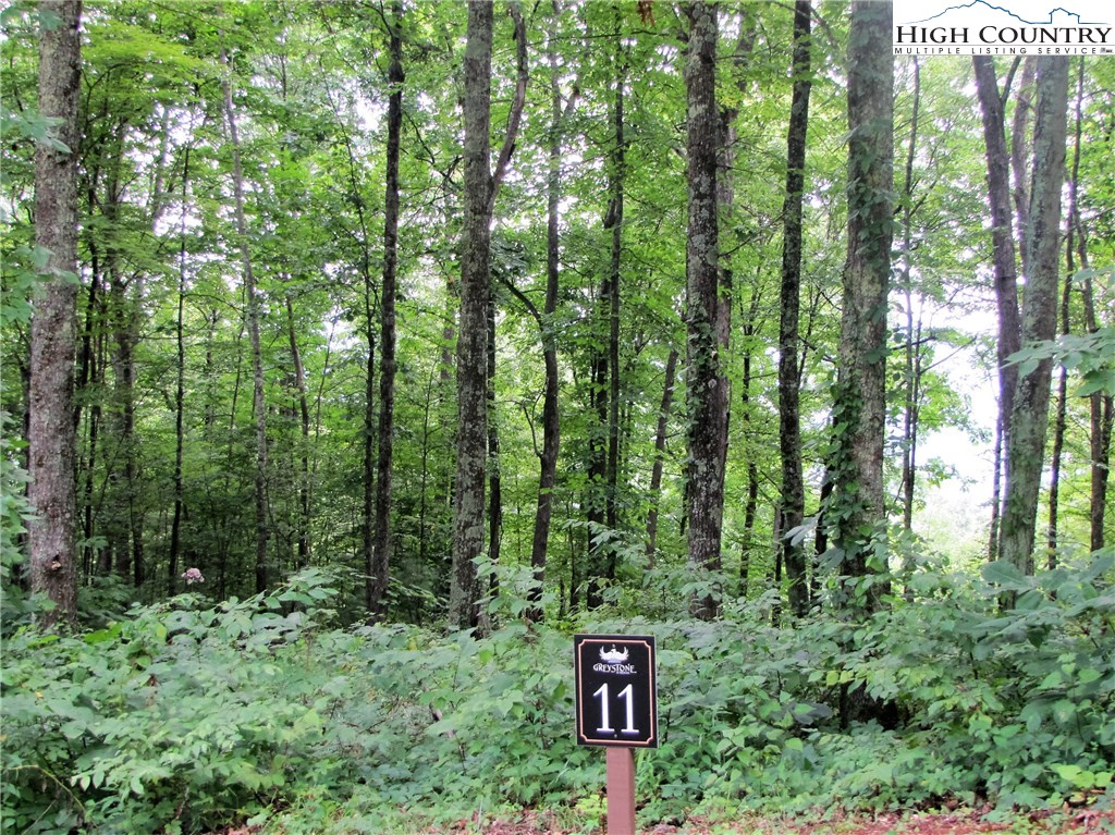 Lot # Olde Stone Ridge Lansing, NC 28643 - Photo 8 of 12 Gallery Image 8