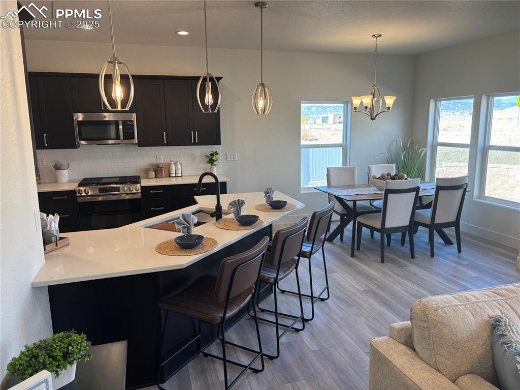 817 Keystone Loop Canon City, CO 81212 - Photo 2 of 19 Kitchen featuring dark cabinets, stainless steel appliances, a kitchen bar, light wood-style floors, and decorative light fixtures
