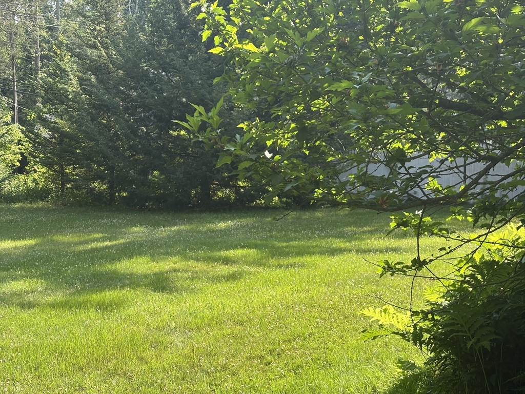 12 Nelson Place Worcester, MA 01605 - Photo 7 of 21