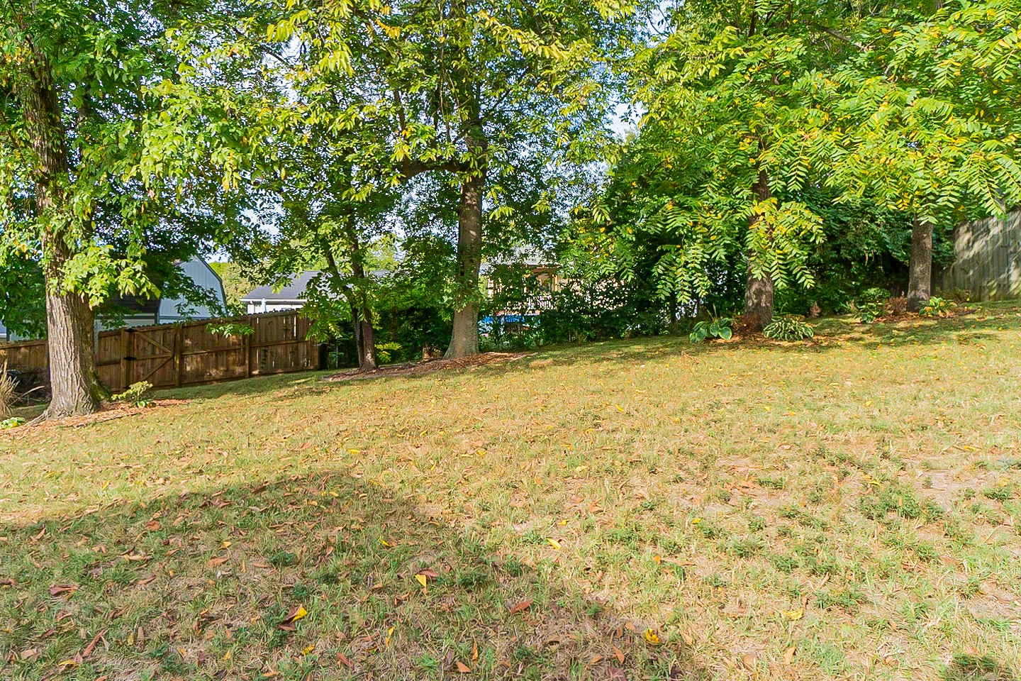 1604 Comanche Run Madison, TN 37115 - Photo 29 of 32 a view of a yard with a trees