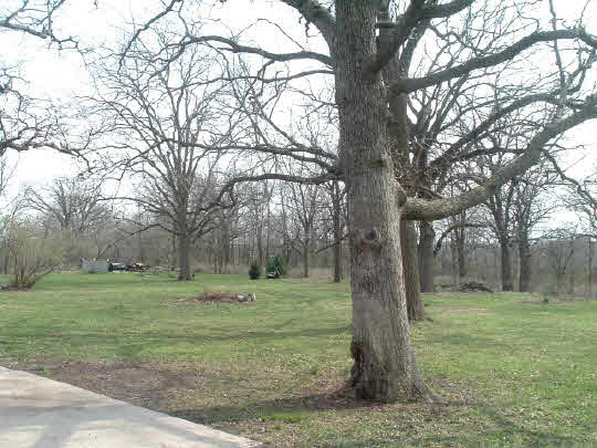 5908 Forest Preserve Road Rockton, IL 61072 - Photo 3 of 6 Gallery Image 3