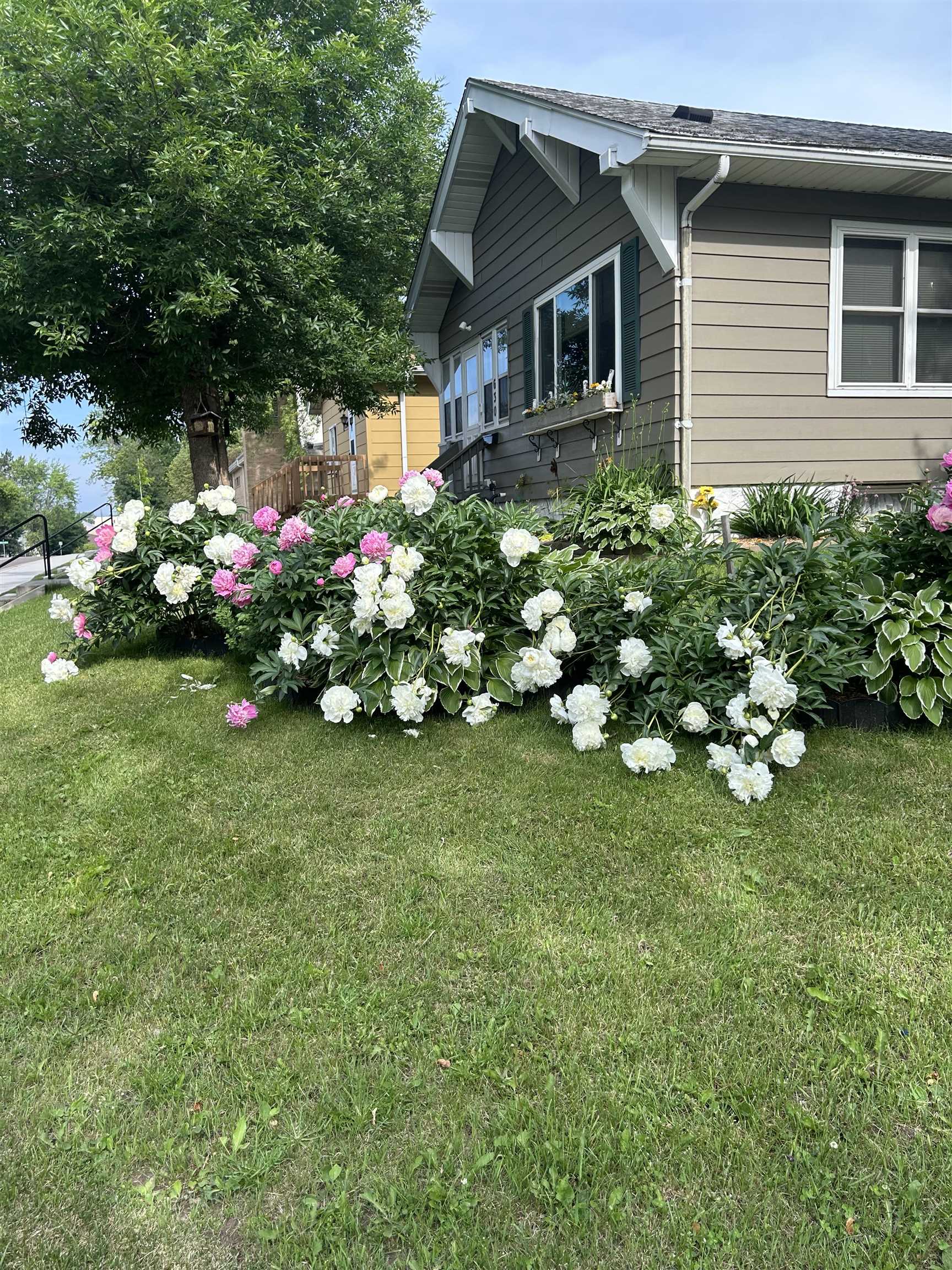 630 2nd Street Proctor, MN 55810 - Photo 25 of 28 View of home's exterior with a yard and roof with shingles