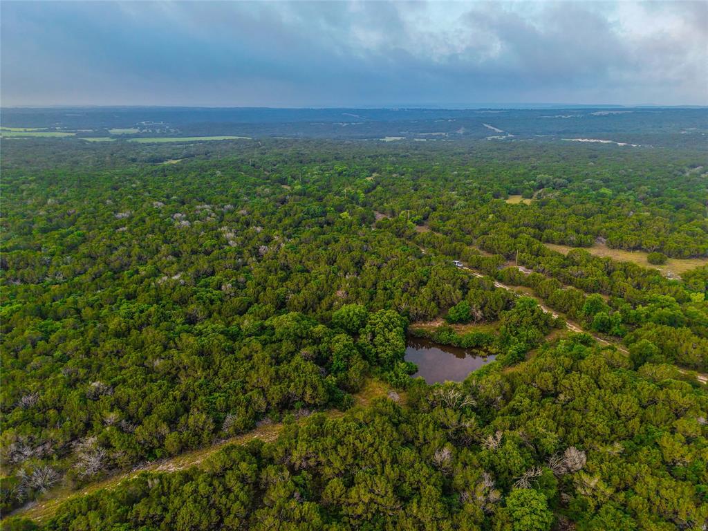 Unk Unk Private Road, Unit 2131 Iredell, TX 76649 - Photo 31 of 36 a view of a green field with lots of bushes