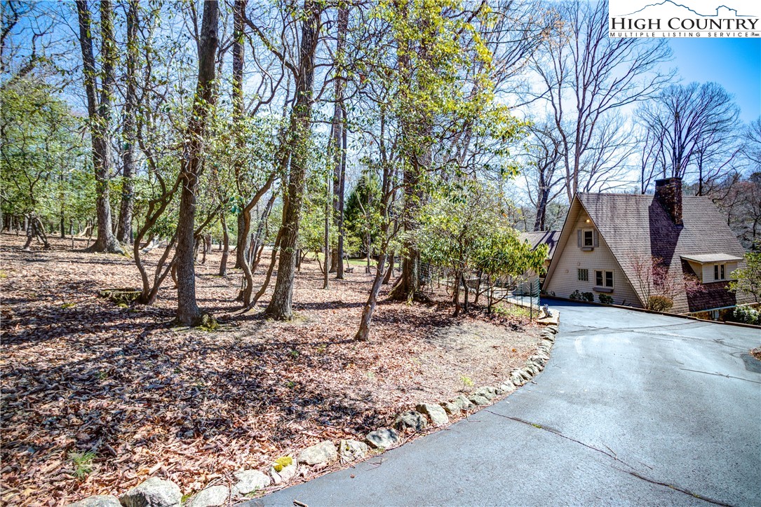 1253 Ridge Road Glade Valley, NC 28627 - Photo 5 of 46 Gallery Image 5