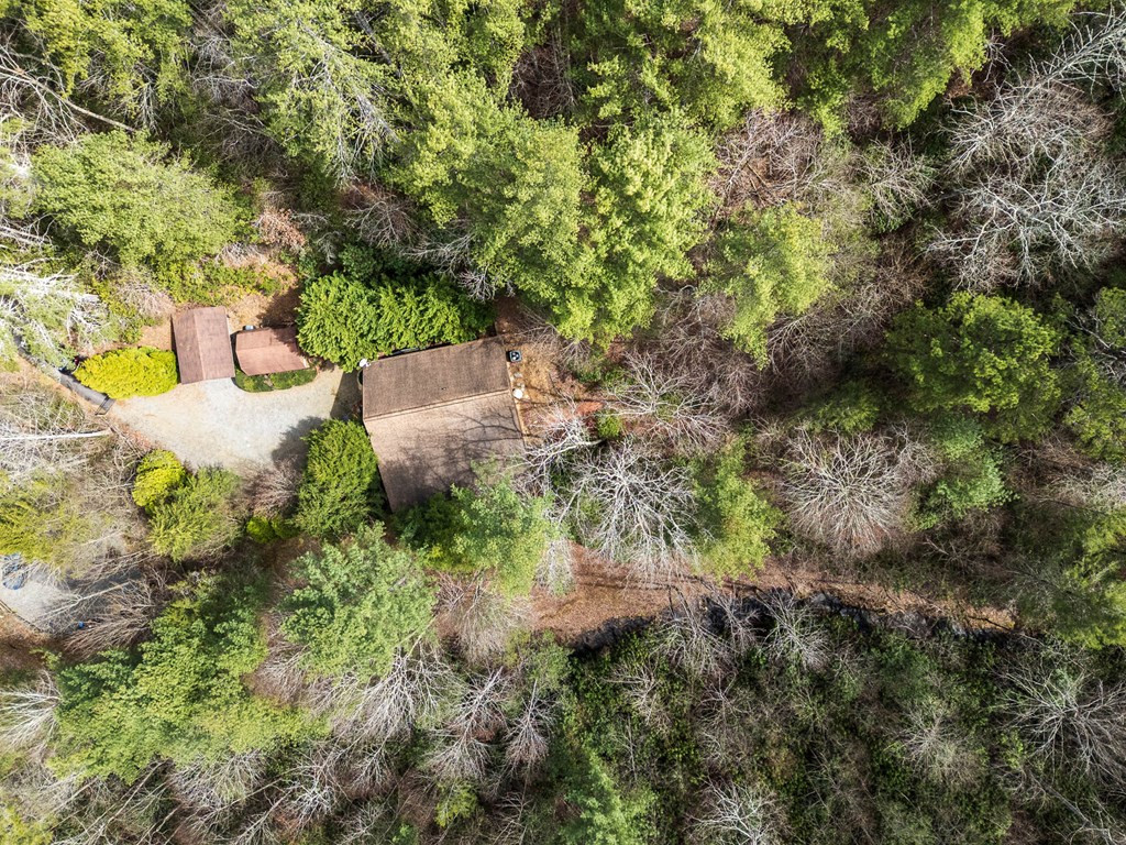 325 Trickling Branch Way Murphy, NC 28906 - Photo 54 of 58