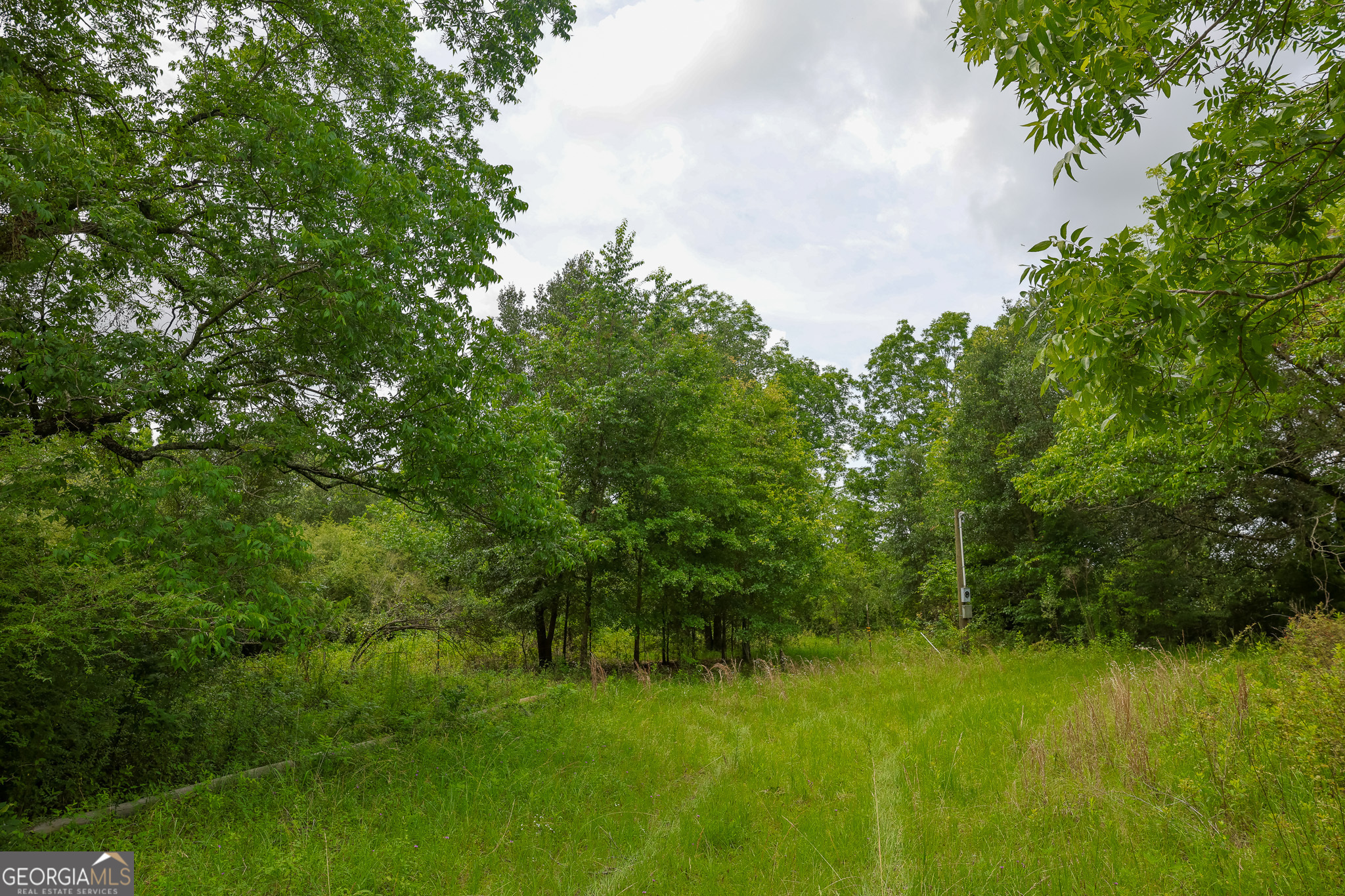 1 Haynes Road Edison, GA 39846 - Photo 4 of 25