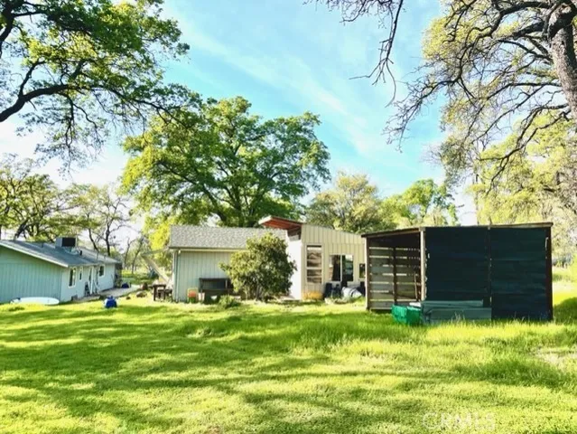 a view of a park with large trees