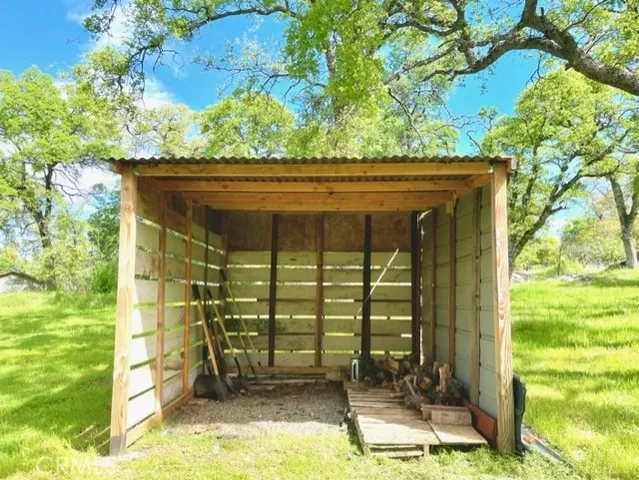 a view of an trees with a yard