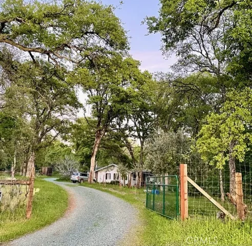 a view of a park with large trees