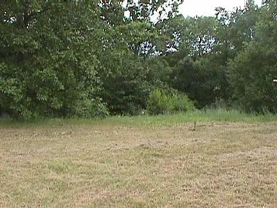 8980 Lammers Road Delton, MI 49046 - Photo 4 of 4 Additional Photo