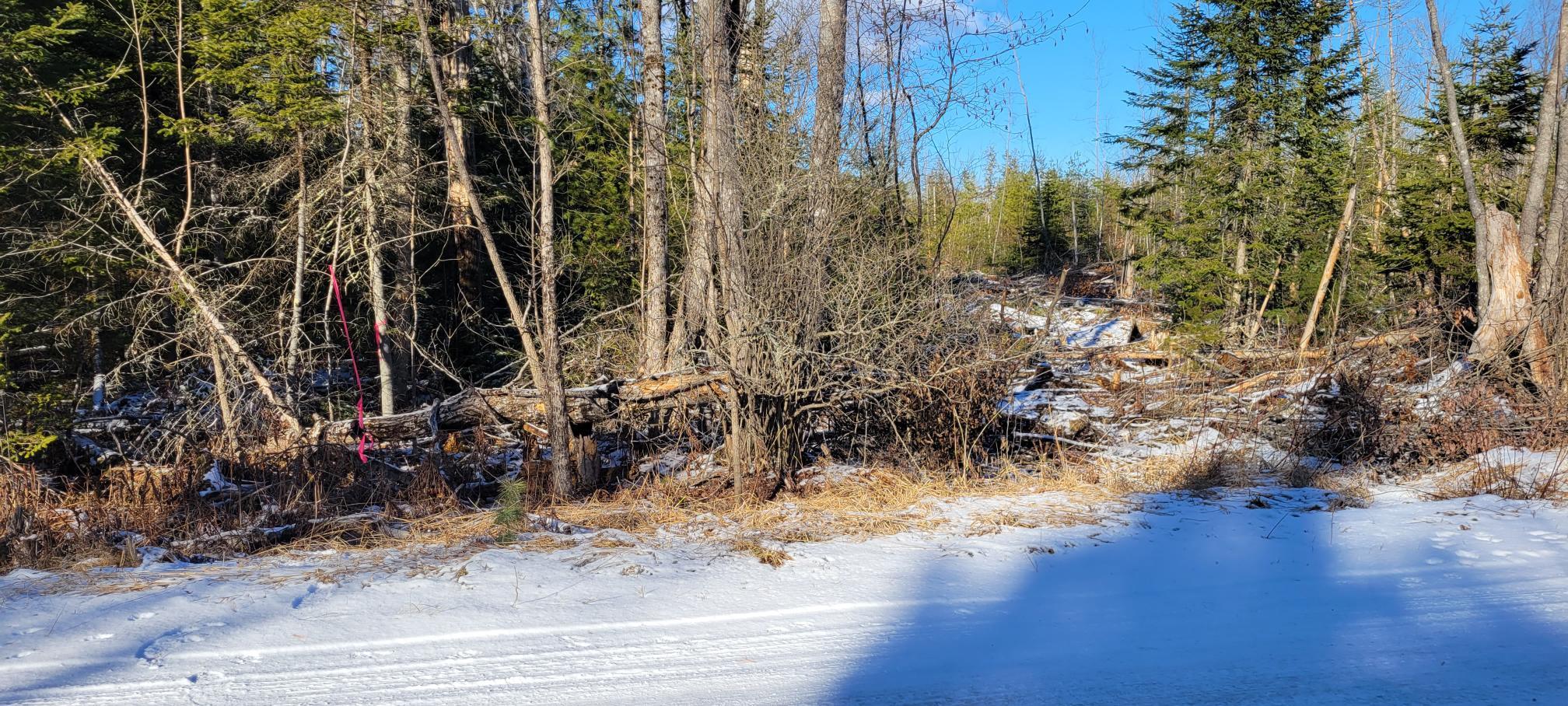 4 Spaulding Road Palmyra, ME 04965 - Photo 23 of 36 Southwest corner on Spaulding road