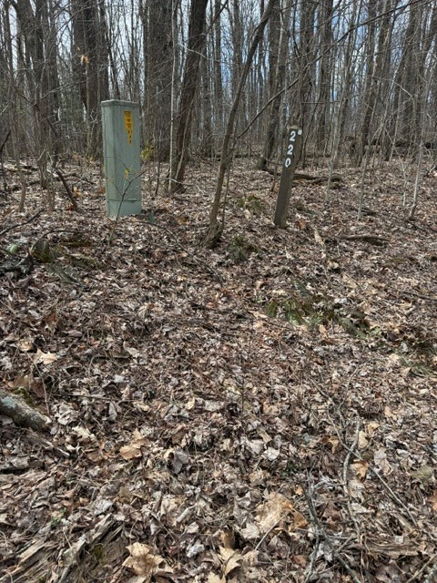 220 St. Andrews Way Jasper, GA 30143 - Photo 2 of 5