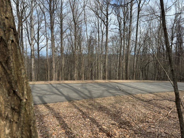 220 St. Andrews Way Jasper, GA 30143 - Photo 3 of 5