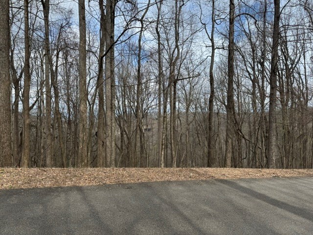 220 St. Andrews Way Jasper, GA 30143 - Photo 4 of 5