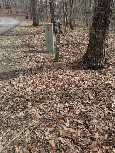 220 St. Andrews Way Jasper, GA 30143 - Photo 5 of 5