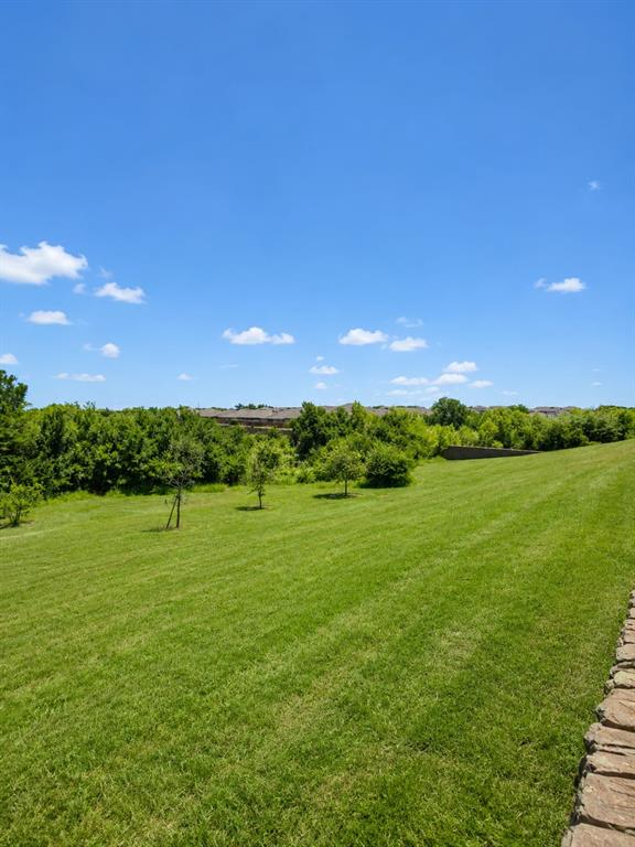 1124 Rountree Court Celina, TX 75009 - Photo 18 of 18