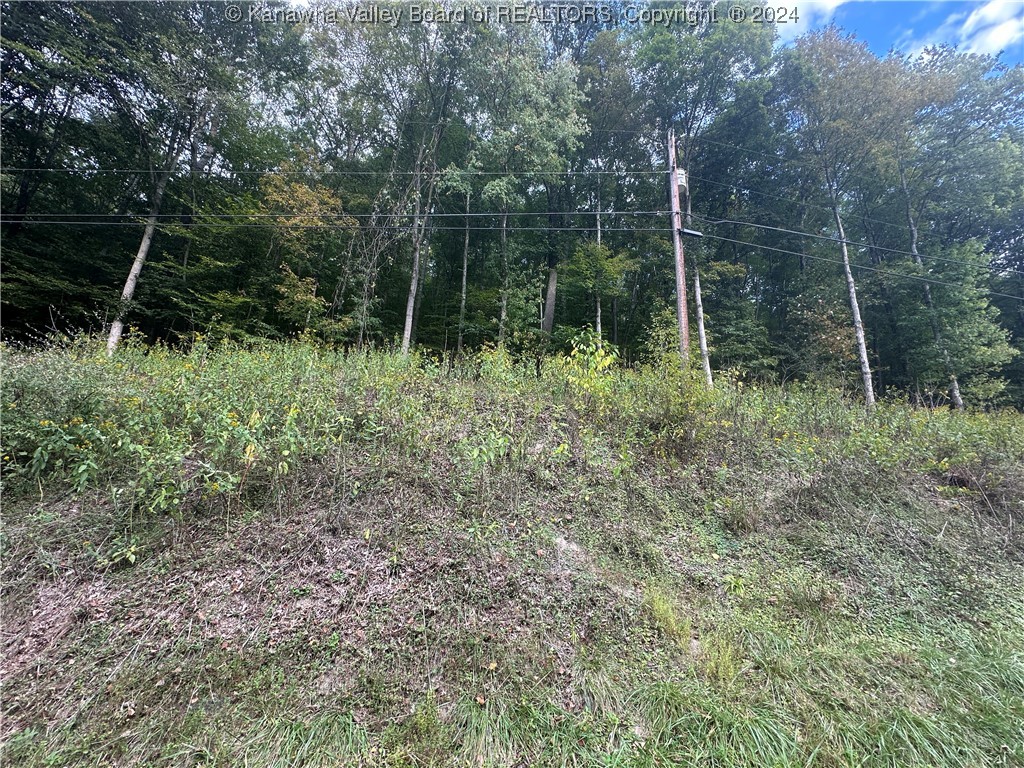 0 Coxs Fork Road Danville, WV 25053 - Photo 3 of 6 Gallery Image 3