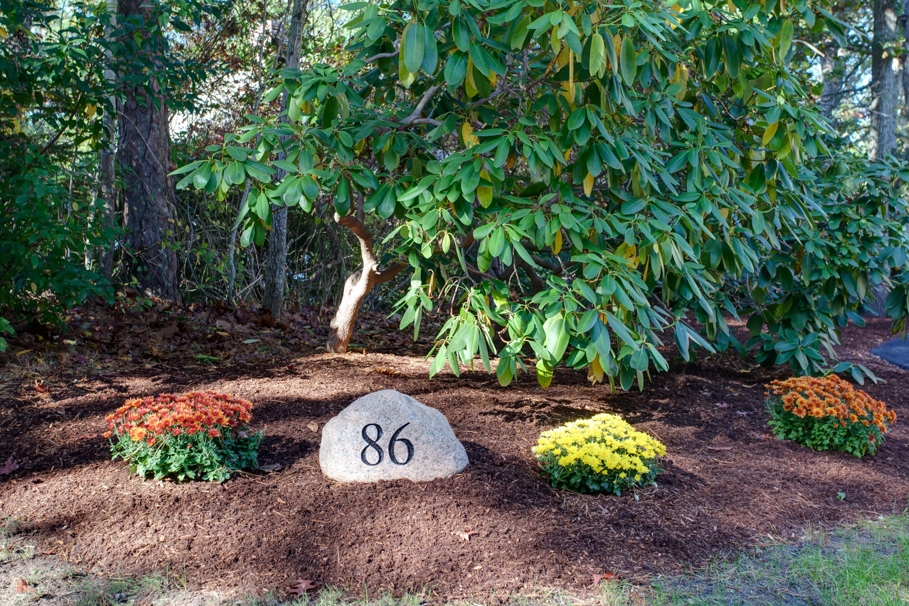 86 Old Fields Road Sandwich, MA 02563 - Photo 11 of 40 001_86OldField_102420